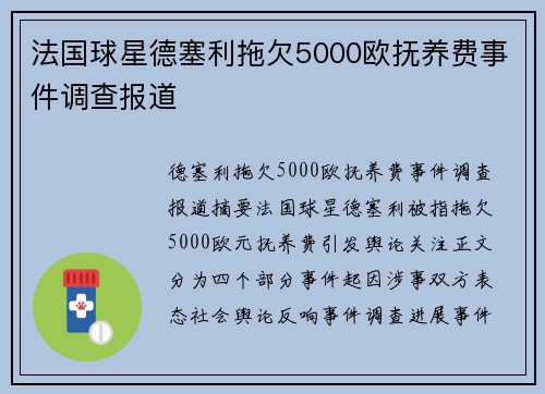 法国球星德塞利拖欠5000欧抚养费事件调查报道